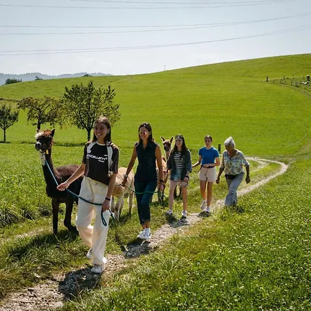 شقة Lamahof Tschaeppel By Interhome Huttwil