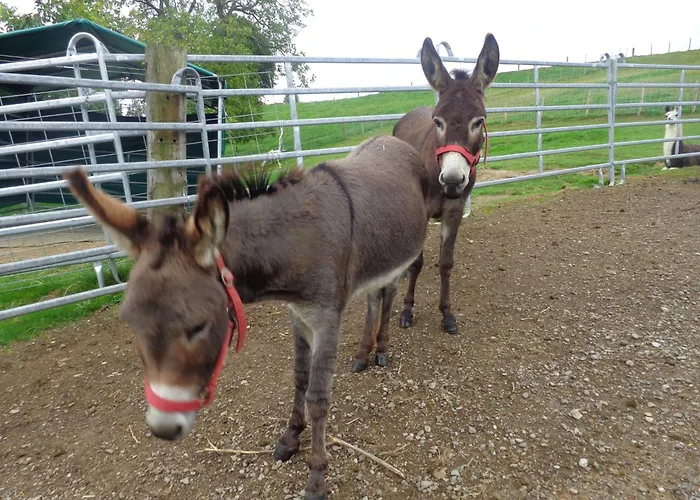 Διαμέρισμα Lamahof Tschaeppel By Interhome