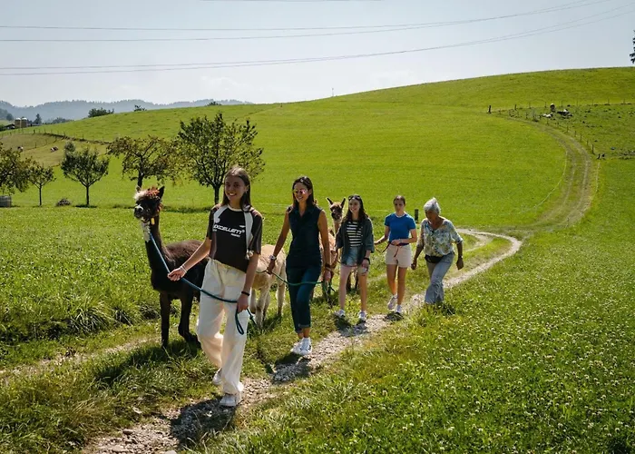 Apartman Lamahof Tschaeppel By Interhome Huttwil